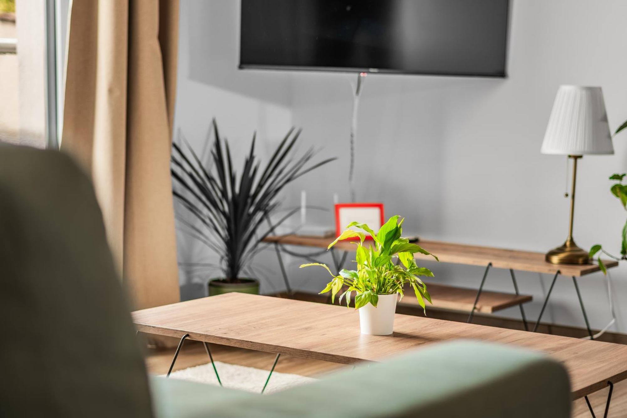 Apartman Anna Nové Město nad Metují Zewnętrze zdjęcie